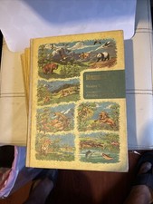 Vintage Mammals Volumes 1, 2, And 3 of The New Illustrated Animal Kingdom 1953