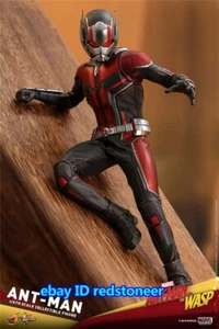HotToys Paul Rudd《Ant-Man and the Wasp》1/6 Scale Action Figure Model Collection - Picture 1 of 13