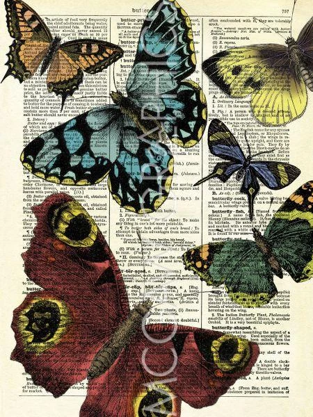 Selection of Butterflies, Marion McConaghie, Wall Decor Art Print 14" x 11" 2678 - Image 1 of 1