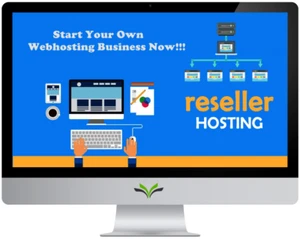Unlimited Reseller Web hosting Cpanel/whm + Free Billing tool + SSL - 1 Year - Picture 1 of 3