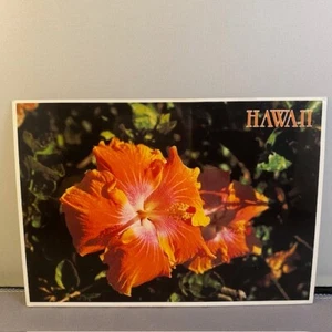 Vintage Hawaii Unposted Postcard with Orange Hibiscus - 1980s Colorscans - Picture 1 of 2