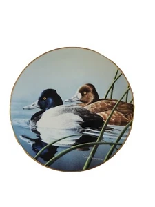 Placa The Lesser Scaup The Federal Duck Stamp Collection #1 Neal Anderson Ducks - Imagen 1 de 11