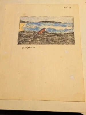 John Beauchamp (1925 - 2019) 原版 1965 年圣诞节伊瓜纳加拉帕戈斯岛艺术 — 第 1/2 张图片