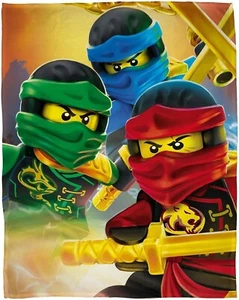Panel Ninjago 40x60 cm verschiedene Motive Sweat Stoff - Bild 1 von 10