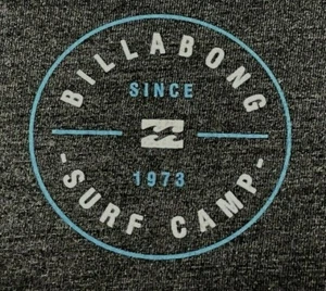 Billabong T Shirt Boys Size Large Surf Camp Graphic Tee Gray Short Sleeve - Picture 1 of 4