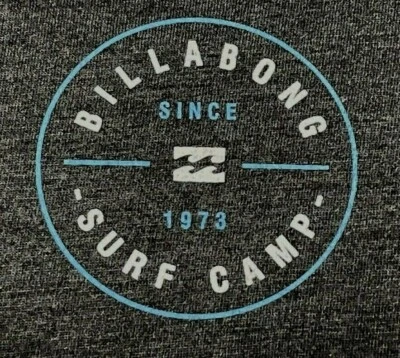 Billabong T Shirt Boys Size Large Surf Camp Graphic Tee Gray Short Sleeve - Image 1 of 4