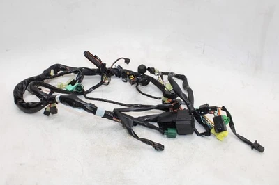 Arnés principal Suzuki SV650 2006 OEM Foto 1 de 4
