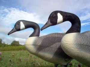 Canada Goose Decoy Flocking Kit for 50 Heads - Picture 1 of 1