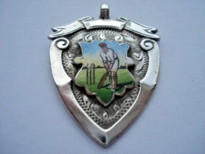 1924 S.H.C.C.2ND TEAM BEST BATTING AVERAGE SILVER&HAND PAINTED EMAIL MEDALLION - Bild 1 von 4