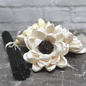 40 piezas flor de madera Sola de 3,2" con palos de ratán de fibra negra de 6,5" - blanco - Imagen 1 de 3