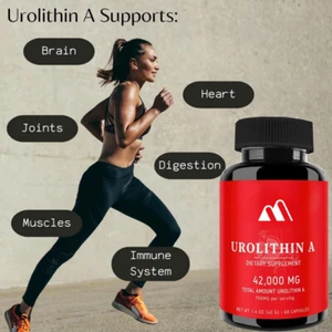 Efficient Urolithin A Supports Capsules - 700 Mg 60 Capsules - Picture 1 of 6