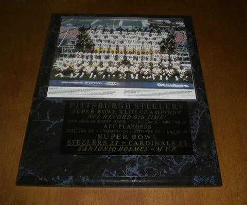 STEELERS SUPER BOWL XLIII CHAMPIONS TEAM PHOTO PLAQUE Cover