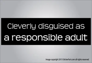 Funny bumper sticker cleverly disguised as a responsible adult vinyl or magnet - Picture 1 of 1