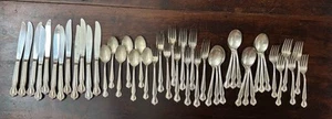 Rogers & Bro Reinforced Silverplate 47 Piece Silverware Set - Picture 1 of 4