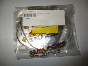BUSTA GUARNIZIONI COMPLETA PER GRUPPO TERMICO Ø 47,6 - 50 (5 PZ MULTISPESSORE) - Imagen 1 de 2