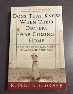 Dogs That Know When Their Owners Are Coming Home: And Other Unexplained Powers - Picture 1 of 6