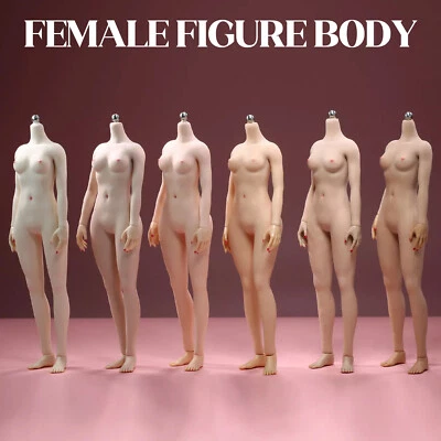 DOLL 19B 1/6 Seamless Small Bust Female Figure Body 12" For Phicen Hot ToyS - Image 1 of 4