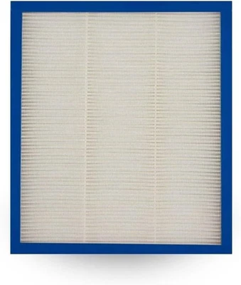 Filtro de repuesto tipo HEPA Homedics Total Clean modelo AF-10FLA Foto 1 de 4