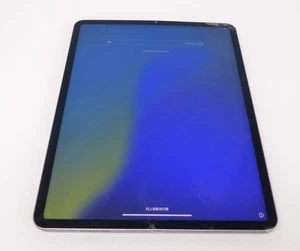 Oryginalna obudowa wyświetlacza Apple iPad Pro 6. Gen 12,9" A2436 kamera SKOK #GVV - Zdjęcie 1 z 23