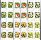 Afghanistan 2001 Champignons Champignons Plantes Nature Bl4 MNH