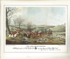 Sporting Print Vintage Book Plate Chase of  Roebuck Hunt Hounds  (Aquatint) P54