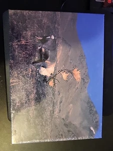 Puzzle vintage 1986 The Alaska Puzzle Co. "Caribou" 1000 pezzi sigillato - Foto 1 di 2