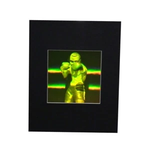 CAJA 3D Dos Canales Punzonado 3D Mate Verdadero Holograma, Fotopolímero Coleccionable - Imagen 1 de 7