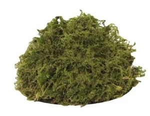 3 oz (85g) Dry Moss Original Yellow Color Grasses - Picture 1 of 3