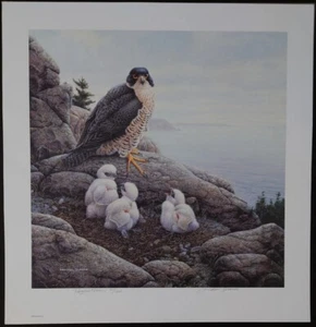 Michael Dumas, Heirs to the Wind, "Peregrine Falcon" S/N Print - Picture 1 of 1