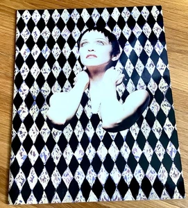Madonna Girlie Show 1993 Japan Tour Programm Konzert Buch mit Maske - USA Verkäufer - Bild 1 von 20