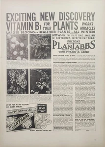 Fulton's Plantabbs 1939 pestañas de comida vegetal anuncio impreso vintage decoración de arte de pared efímero - Imagen 1 de 1