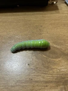 Godzilla Mothra Larvae 1 1/2” - Picture 1 of 3