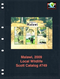 1/3 off $11.50 Scott Value - 2009 MALAWI African Wildlife s/s Lion CV MNH NH UMM - Picture 1 of 4