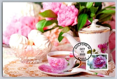 #5727 Snowy Beauty Camellia FDC Maxi Card - Image 1 of 2