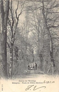 Suisse - Genève - Malagnou - Avenue de l'Ermitage - Route de Chêne - Ed. Jullien - Picture 1 of 2