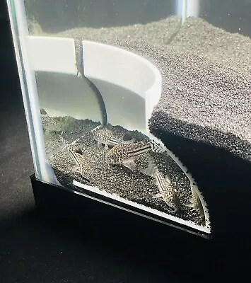 Bottom Dweller Aquarium Cave Hideout Corner Fish Tank Decorations Accessories - Image 1 of 4