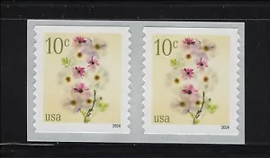US Scott # 5906 Flowers Poppies & Coneflowers MNH Coil Pair 2024 - Picture 1 of 1