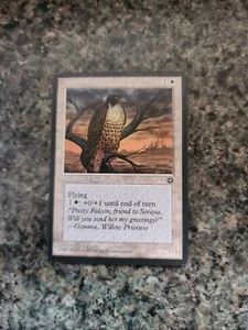 Magic the Gathering MTG Mesa Falcon (10b) Homelands w4 - Picture 1 of 1