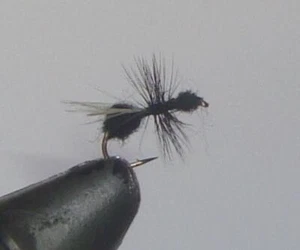 Lote de 6 moscas de pesca con mosca atadas a mano hormiga negra voladora elección de tamaño de anzuelo - Imagen 1 de 1