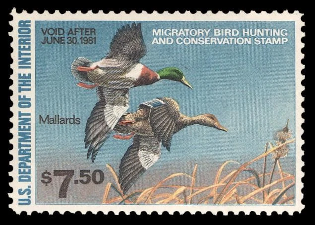 RW47 — XF 90 Hinged, PSE Certificate - Image 1 of 1