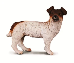 KONVOLUT TIERE HUNDE HUND JACK RUSSEL 88080 DOG HUND - Bild 1 von 1