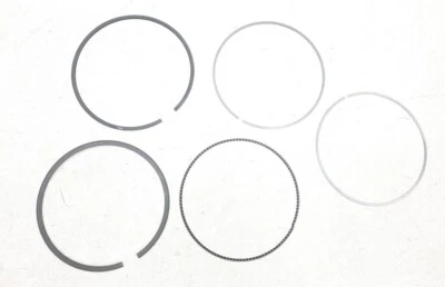 NUEVO OEM Ford Motor Juego de Anillo de Pistón Único KR3Z-6148-B Ford Mustang GT500 20-22 Foto 1 de 4