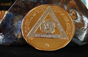 Alcoholics Anonymous 24K Gold & Silver Plated 14 Year NEW Medallion Chip Token - Picture 1 of 2