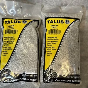 Lot Of 2 Talus Medium Gray #C1279 Woodland Scenics Rock Debris Free Shipping - Picture 1 of 3