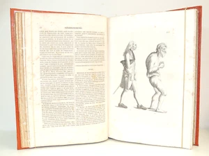 Lavater. La Physiogonomie ou l'art de connaitre les hommes 120 planches 1841 - Bild 1 von 12