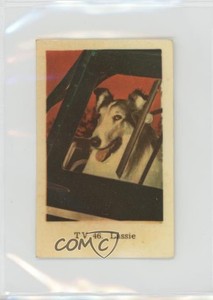 1962 Dutch Gum TV Stars Lassie #TV46 f5h