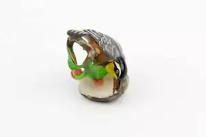 Hand Carved Oriole Bird Tagua Nut - Picture 1 of 10