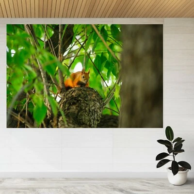 Squirrel Redhead Animal on Tree 3d View Wall Sticker Poster Decal A145 - Image 1 of 2