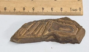 Pre Cambrian STROMATOLITE From Morocco - The Worlds oldest Fossil (#F7399) - Bild 1 von 1