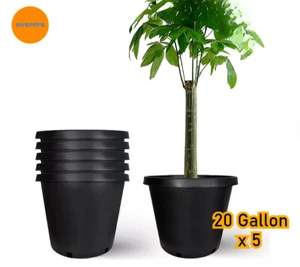 20 Gallon Black Plastic Garden Plant Flower Pot Nursery Containers (Set of 5) - Picture 1 of 9
